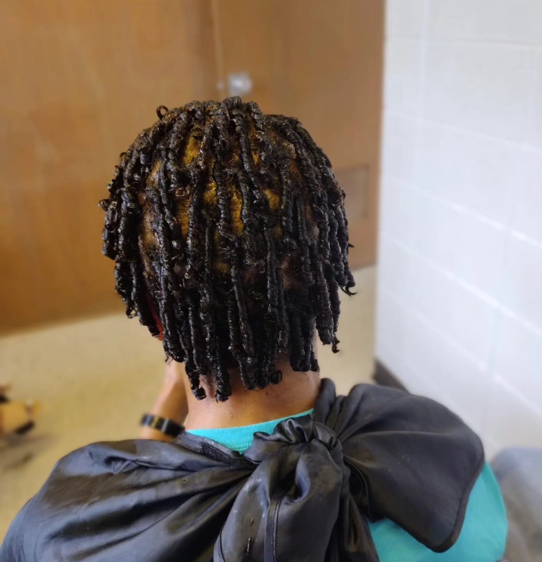 Faux Locs