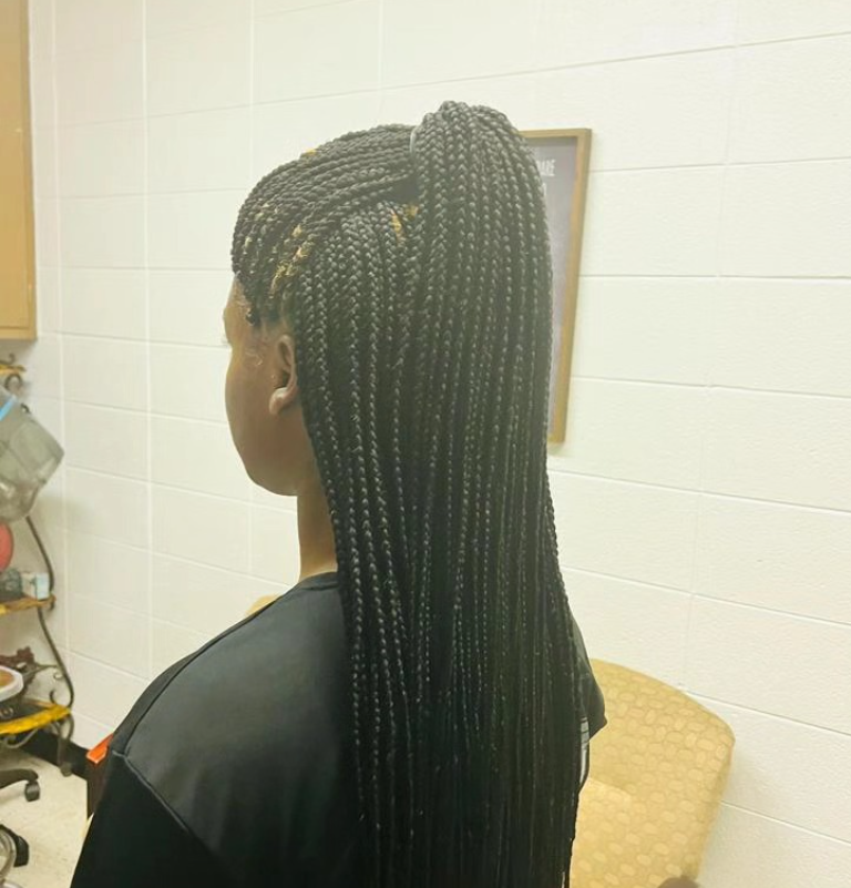 Butterfly Locs
